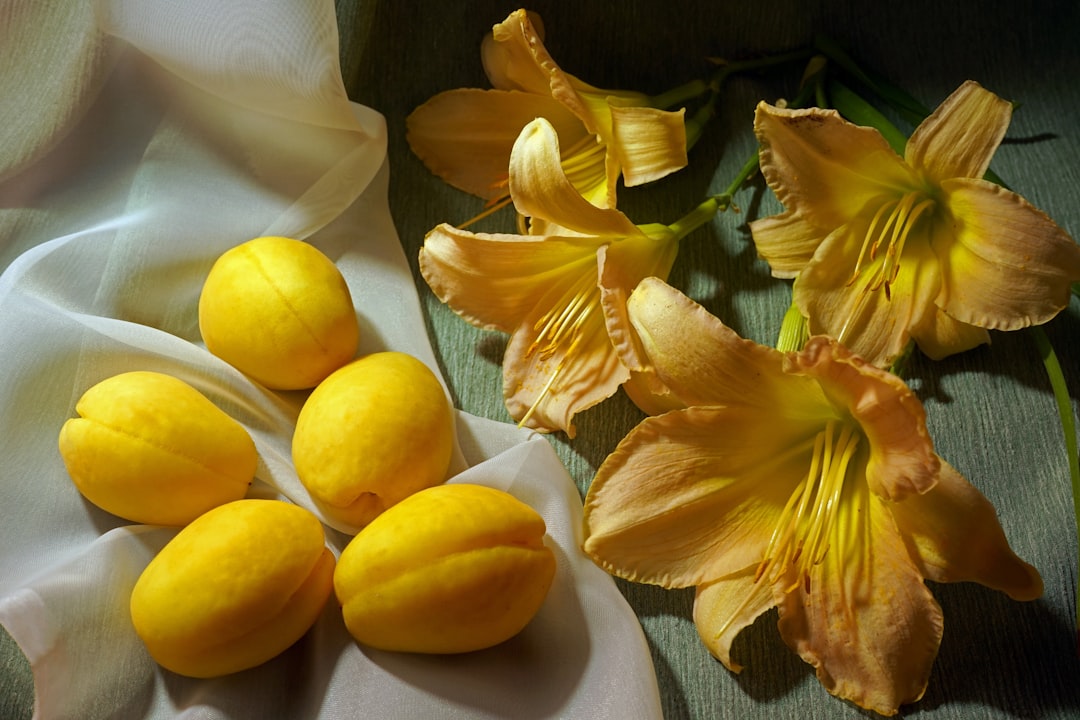 Abrikozen geven je lijf een gezonde opsteker