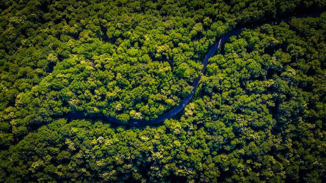 De aarde warmt op: wat klimaatverandering betekent voor jou en de wereld