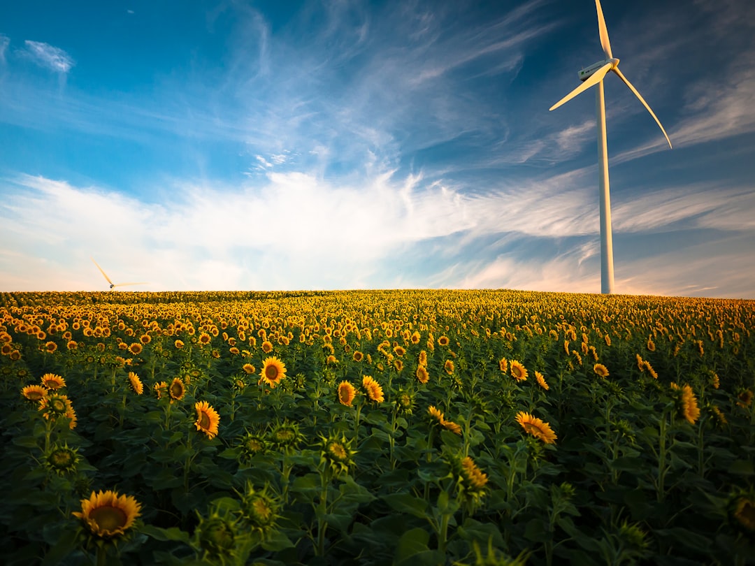 Duurzaam meubilair: meubels die langer meegaan en beter zijn voor de wereld